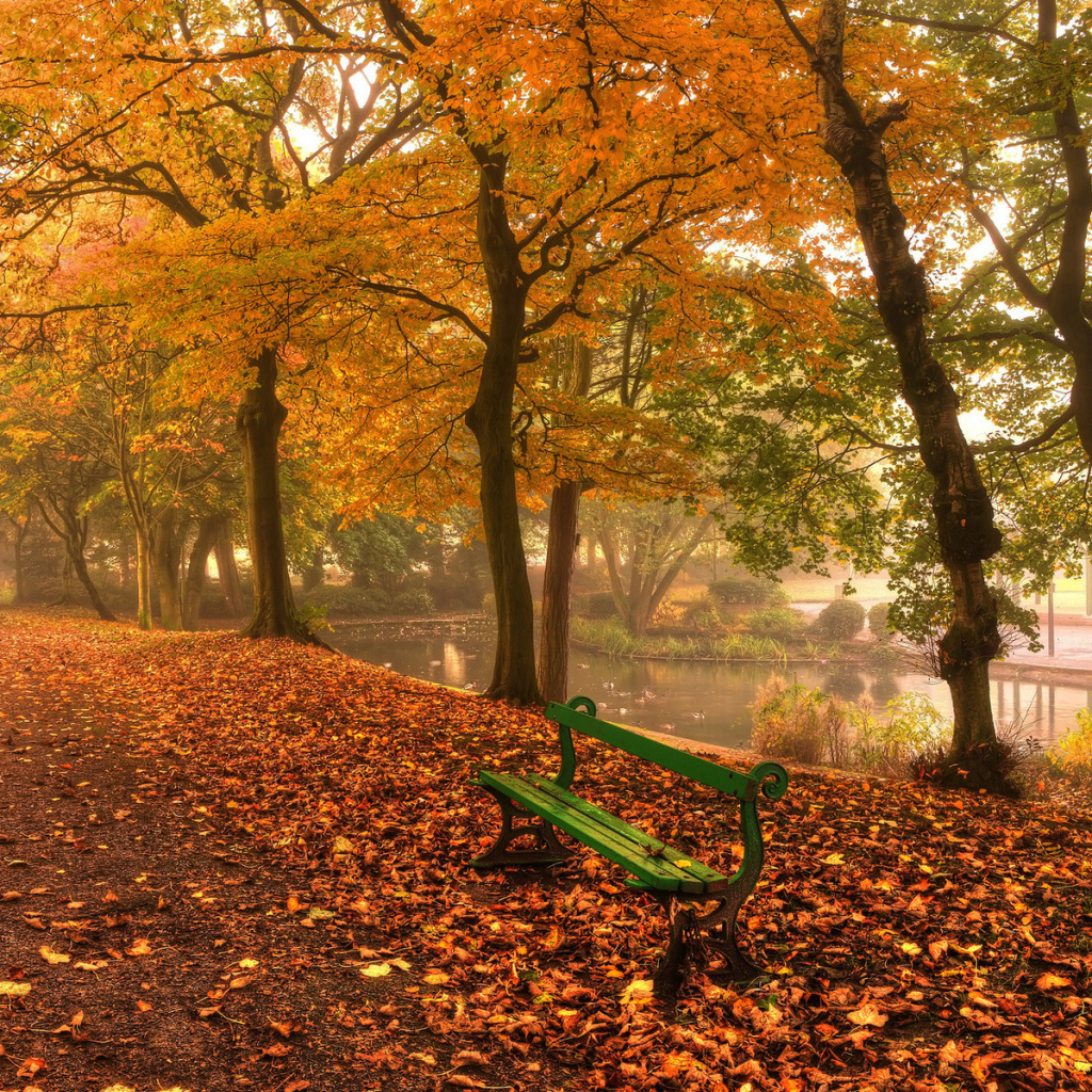 Autumn in Patterson Park wallpaper 1024x1024