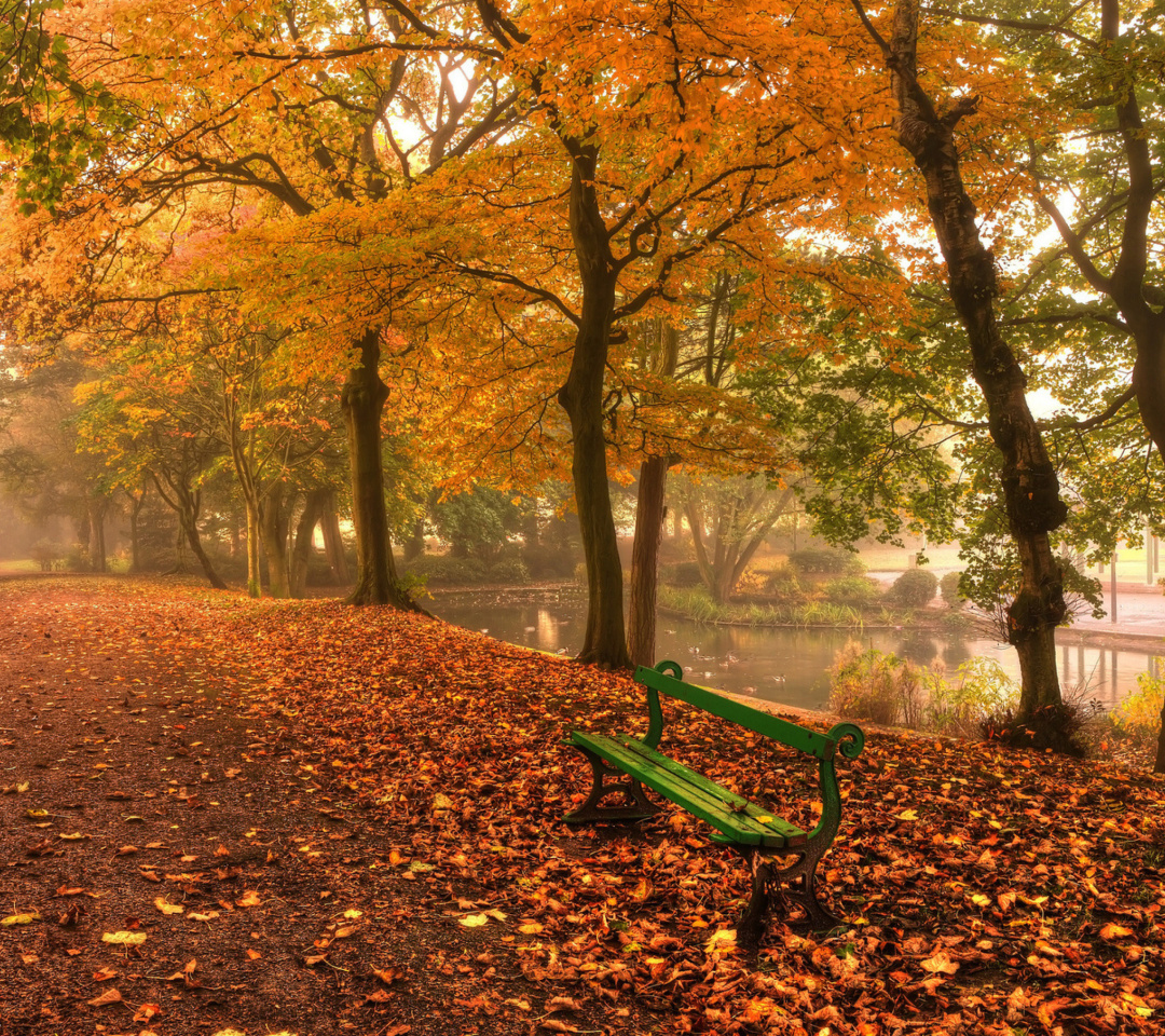 Das Autumn in Patterson Park Wallpaper 1080x960