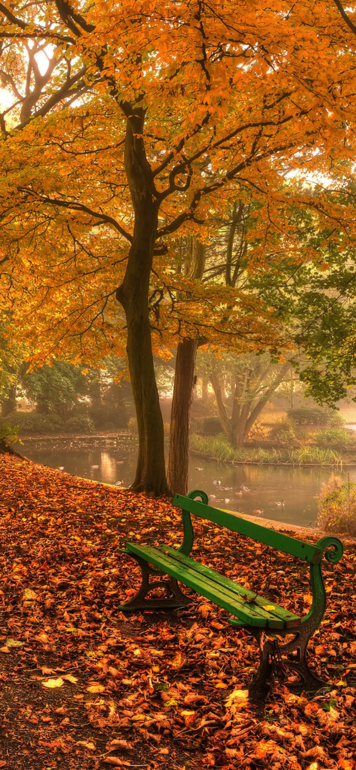 Autumn in Patterson Park screenshot #1 1170x2532