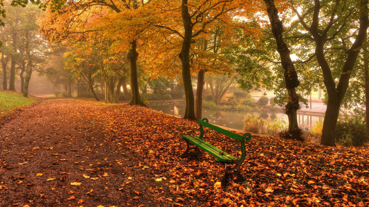 Screenshot №1 pro téma Autumn in Patterson Park 1280x720