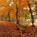 Screenshot №1 pro téma Autumn in Patterson Park 128x128