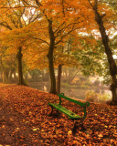 Autumn in Patterson Park screenshot #1 128x160