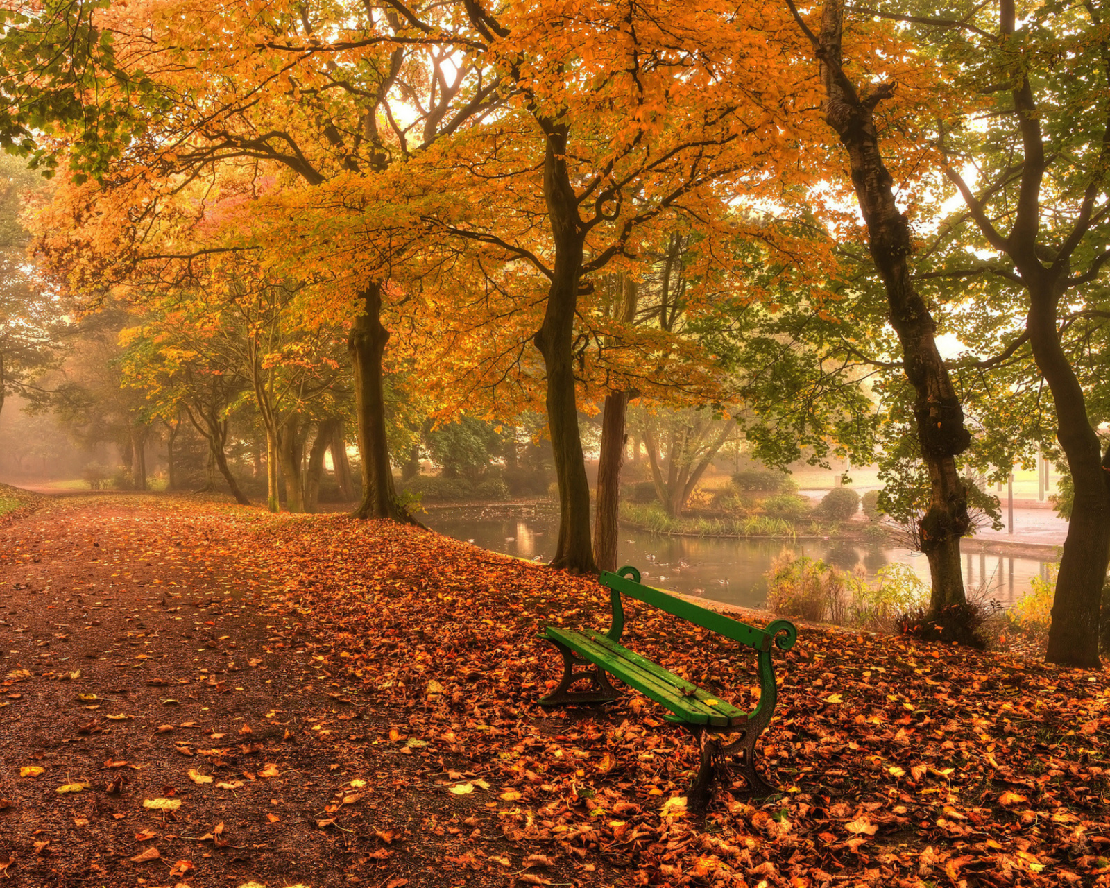 Fondo de pantalla Autumn in Patterson Park 1600x1280