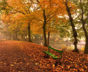 Sfondi Autumn in Patterson Park 176x144