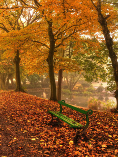 Autumn in Patterson Park screenshot #1 240x320