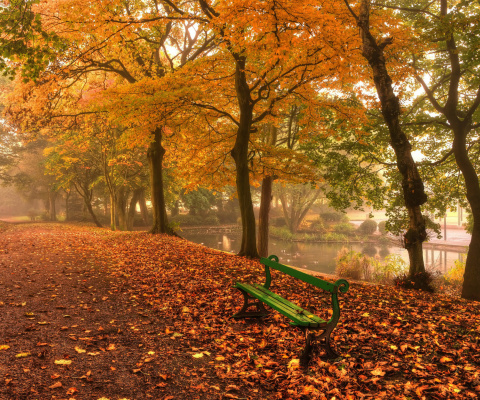 Sfondi Autumn in Patterson Park 480x400
