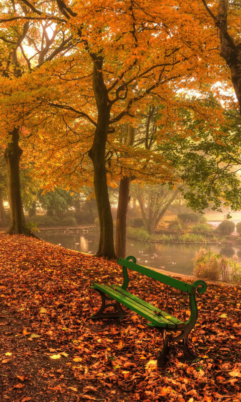 Sfondi Autumn in Patterson Park 480x800