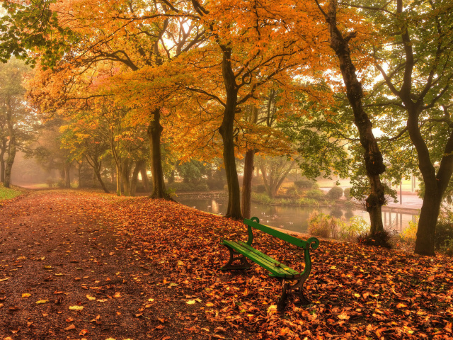 Autumn in Patterson Park wallpaper 640x480
