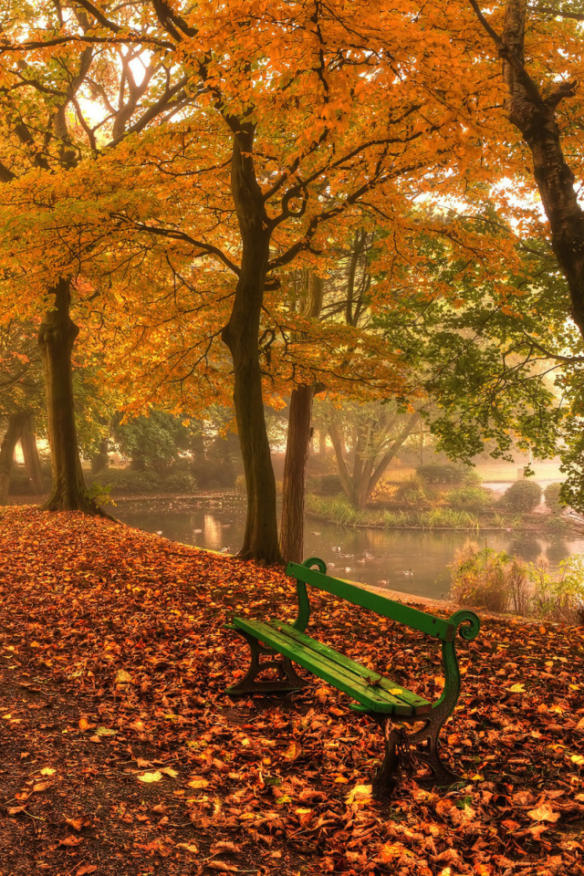 Das Autumn in Patterson Park Wallpaper 640x960