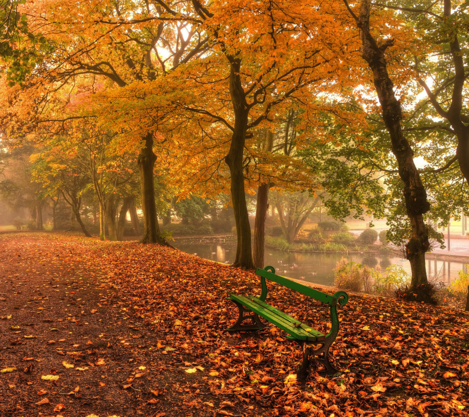 Das Autumn in Patterson Park Wallpaper 960x854