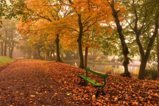 Autumn in Patterson Park Wallpaper for Android, iPhone and iPad