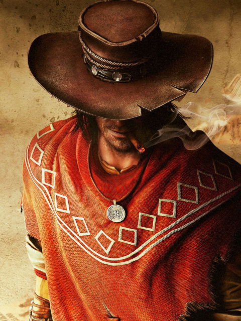 Das Call of juarez the gunslinger Wallpaper 480x640