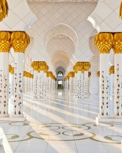 Das Sheikh Zayed Grand Mosque Abu Dhabi Wallpaper 176x220