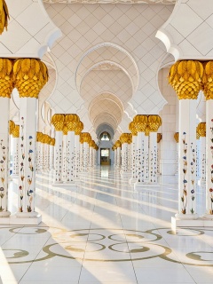 Fondo de pantalla Sheikh Zayed Grand Mosque Abu Dhabi 240x320
