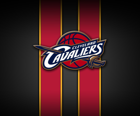 Cleveland Cavaliers screenshot #1 480x400