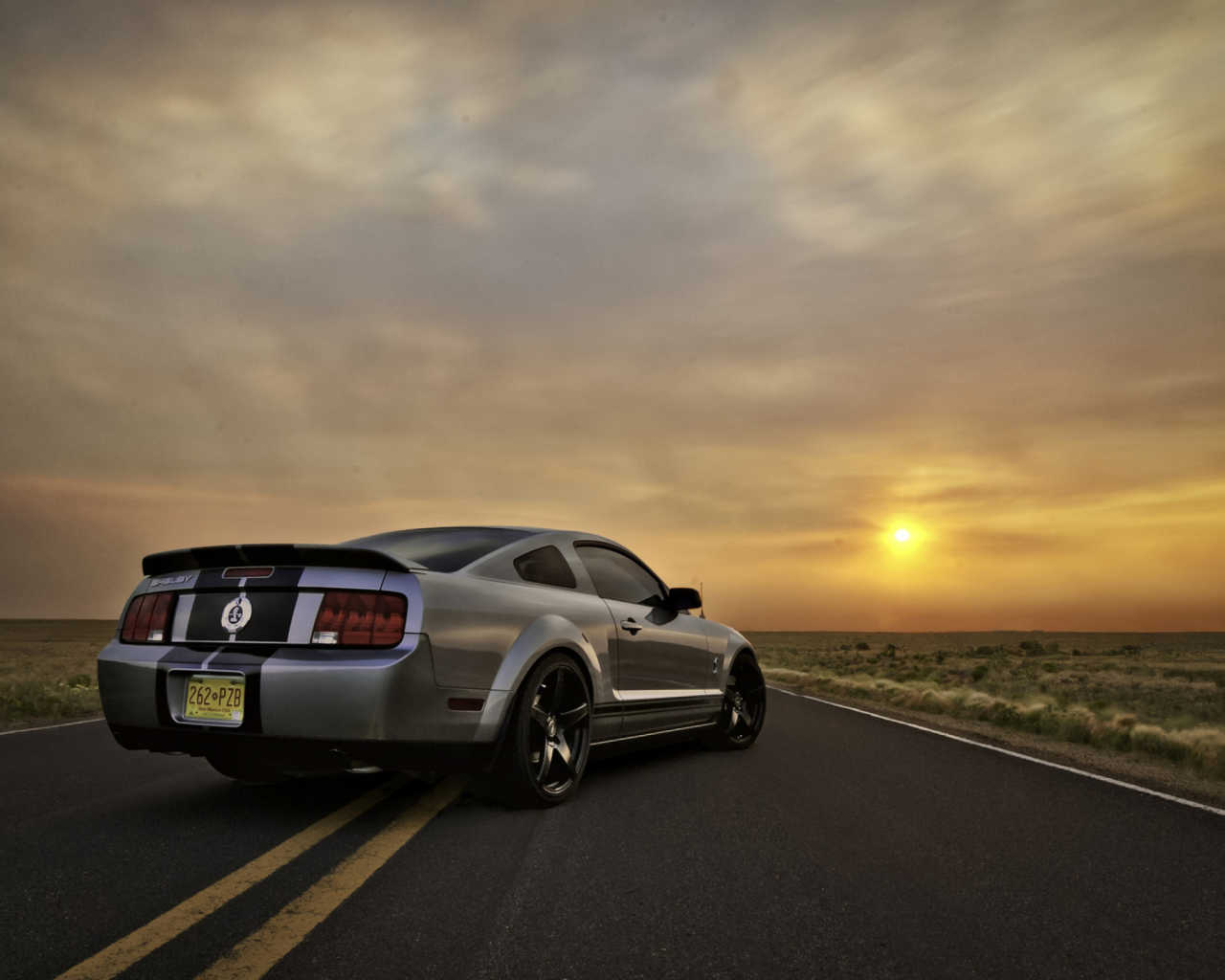 Das Ford Mustang Shelby GT500 Wallpaper 1280x1024