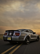 Das Ford Mustang Shelby GT500 Wallpaper 132x176