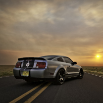 Ford Mustang Shelby GT500 screenshot #1 208x208