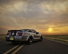 Das Ford Mustang Shelby GT500 Wallpaper 220x176