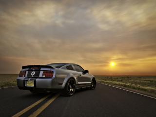 Screenshot №1 pro téma Ford Mustang Shelby GT500 320x240