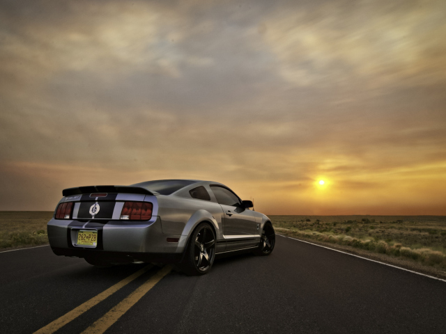 Обои Ford Mustang Shelby GT500 640x480
