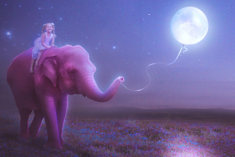 Child And Elephant wallpaper 480x320