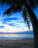 Caribbean Beach screenshot #1 128x160