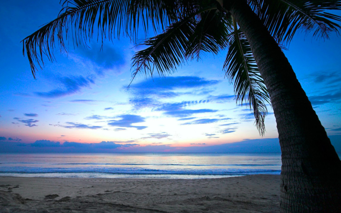 Caribbean Beach screenshot #1 1440x900