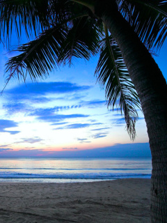 Caribbean Beach screenshot #1 240x320