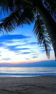 Caribbean Beach screenshot #1 240x400