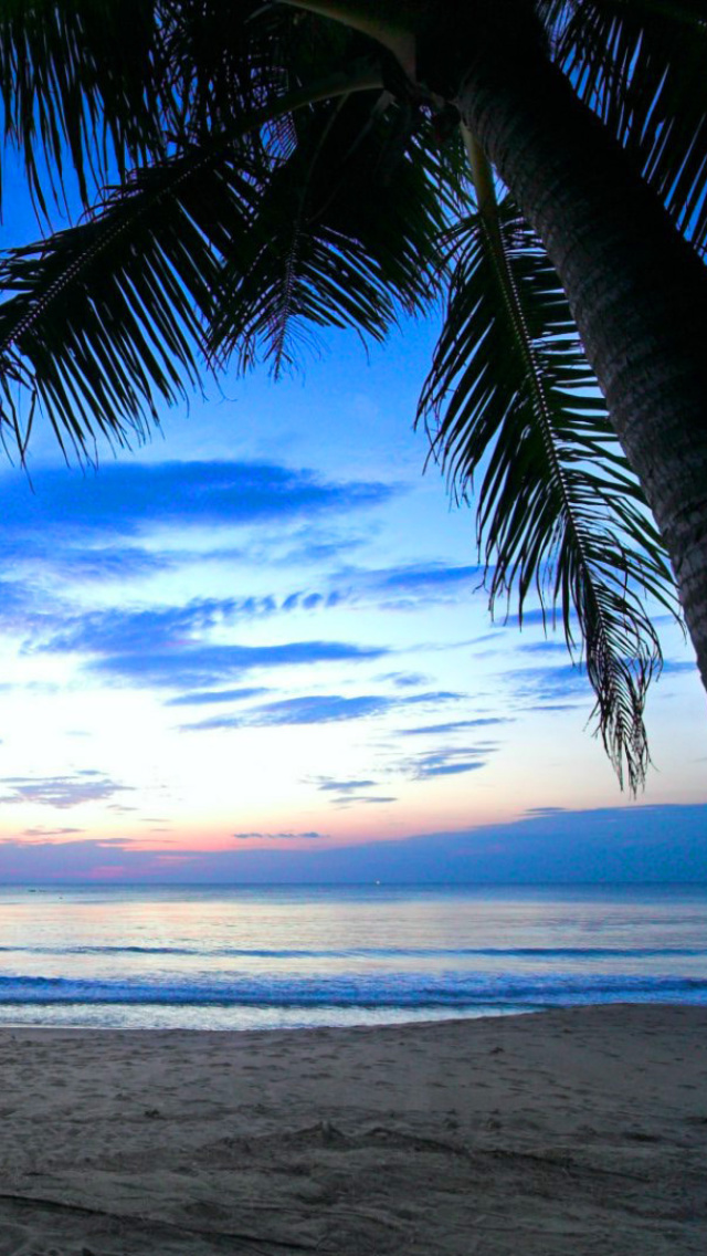 Caribbean Beach wallpaper 640x1136