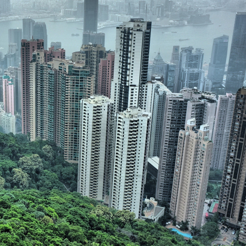 Screenshot №1 pro téma Hong Kong Hills 1024x1024