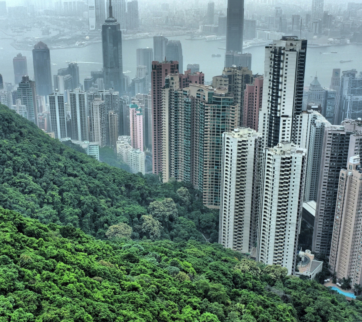 Das Hong Kong Hills Wallpaper 1440x1280