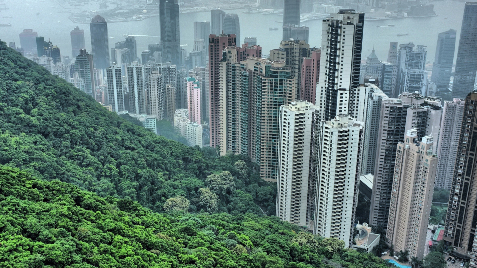 Screenshot №1 pro téma Hong Kong Hills 1600x900