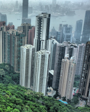 Hong Kong Hills screenshot #1 176x220
