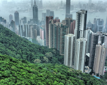 Das Hong Kong Hills Wallpaper 220x176