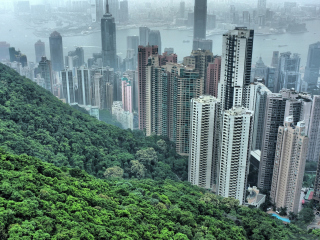 Das Hong Kong Hills Wallpaper 320x240