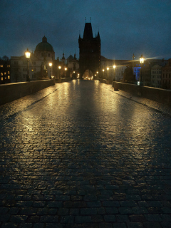 Screenshot №1 pro téma Night In Prague 240x320