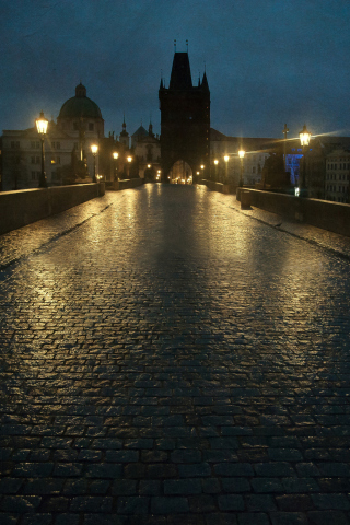 Night In Prague wallpaper 320x480