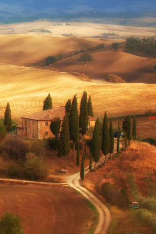 Fondo de pantalla Italy, Tuscany 320x480