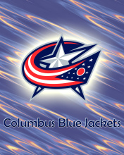 Screenshot №1 pro téma Columbus Blue Jackets 176x220