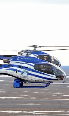 Обои Hudson Bay Helicopters 240x400
