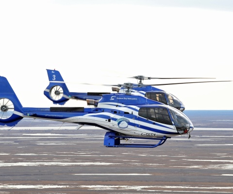 Hudson Bay Helicopters wallpaper 480x400