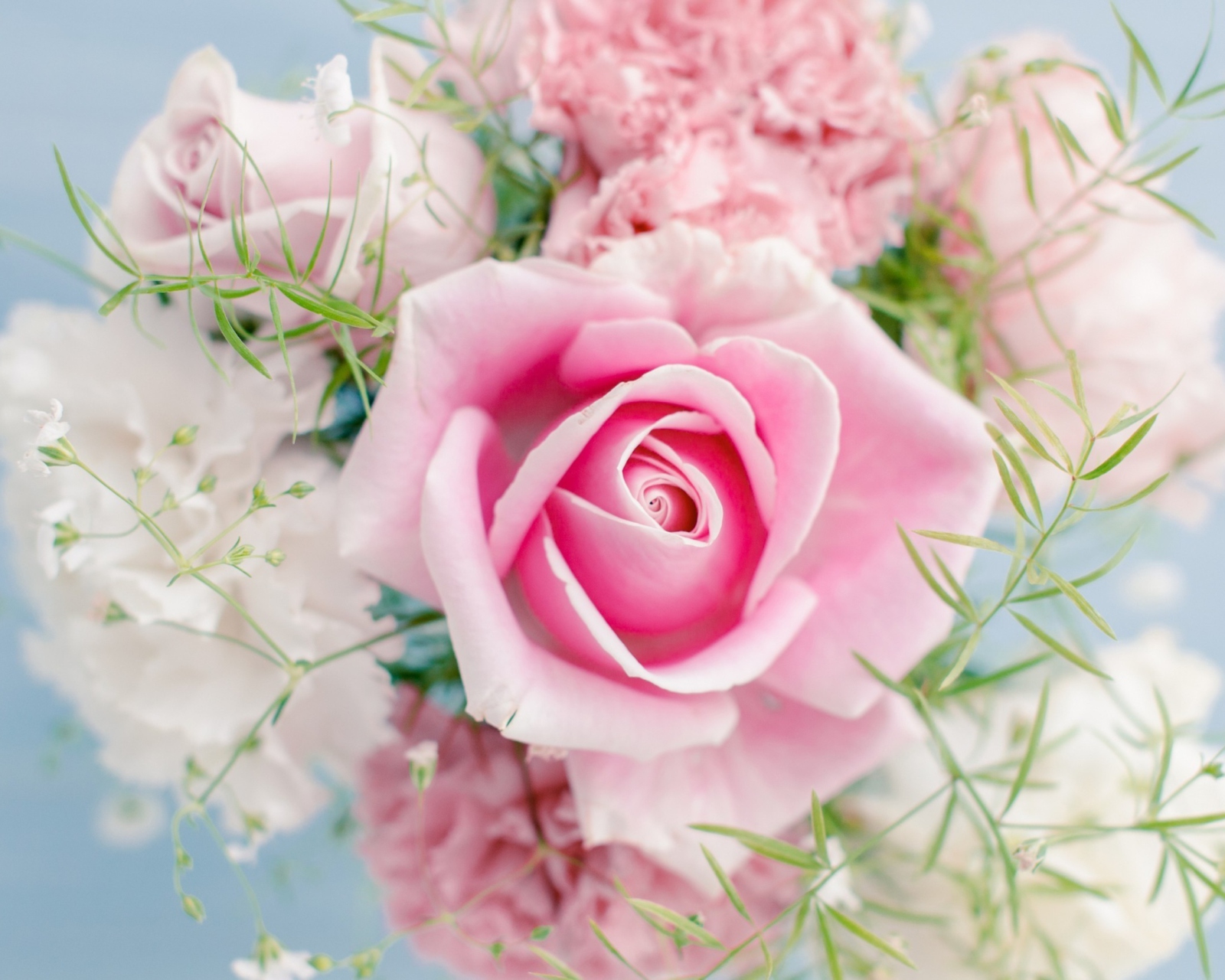 Sfondi Beautiful Pink Rose 1600x1280