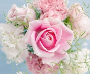 Das Beautiful Pink Rose Wallpaper 176x144