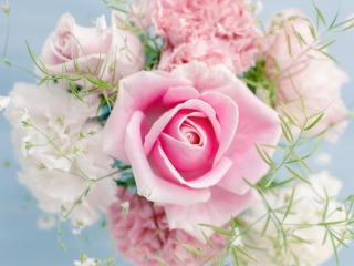 Screenshot №1 pro téma Beautiful Pink Rose 320x240