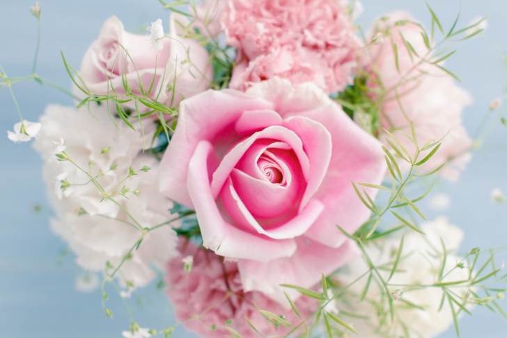 Screenshot №1 pro téma Beautiful Pink Rose