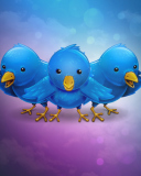 Обои Twitter 128x160