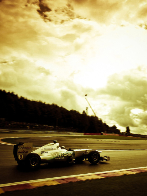 Das Mercedes GP F1 Wallpaper 480x640