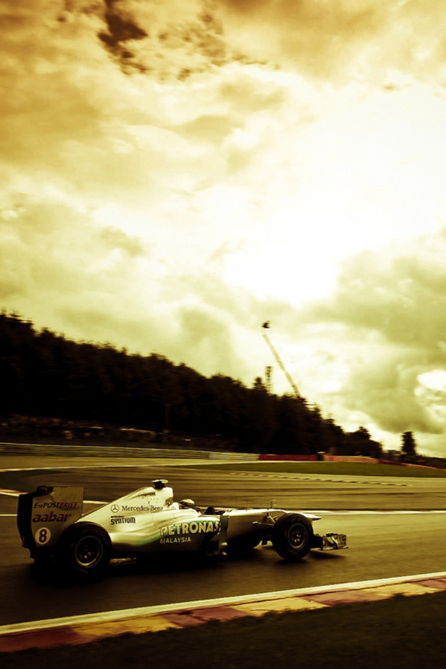 Mercedes GP F1 wallpaper 640x960